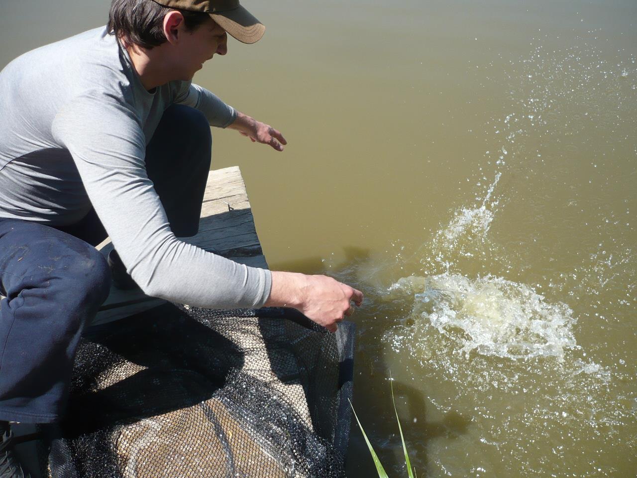 Magura 9 - 08.MAI.2014 - p1020351.JPG